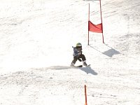 MG 0867