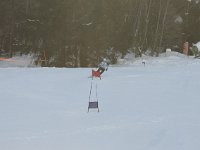 MG 1529